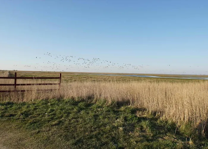 Hébergement de vacances C11584-hemmet-kosigvaenget-53 Hemmet