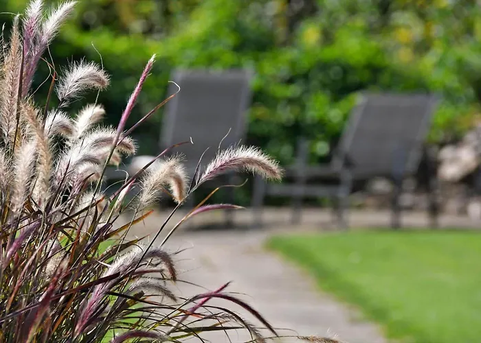 בית נופש C11584-hemmet-kosigvaenget-53 Hemmet